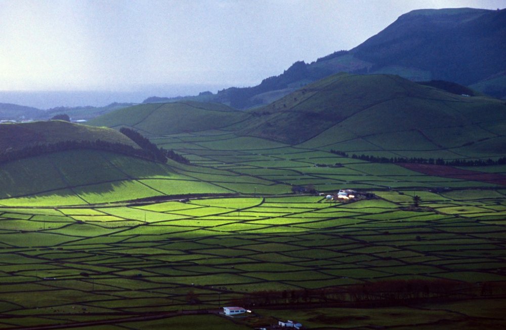 Terceira - Azzorre