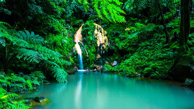 Wild Nature Azores