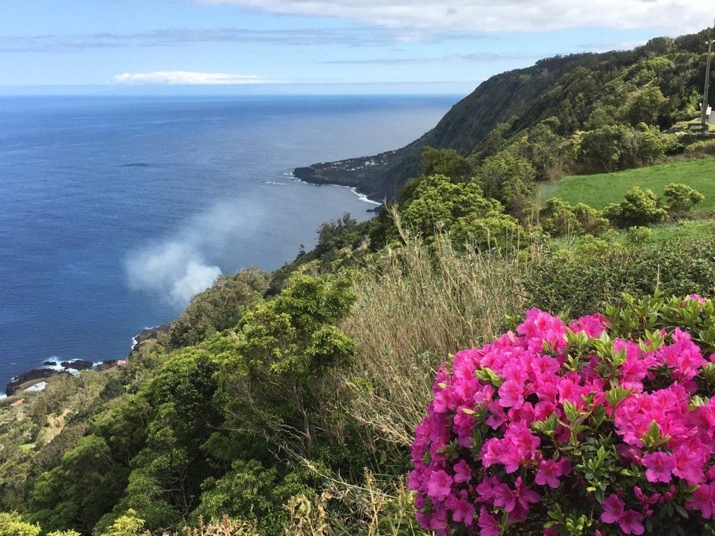 coast Fajas Sao Jorge Azores