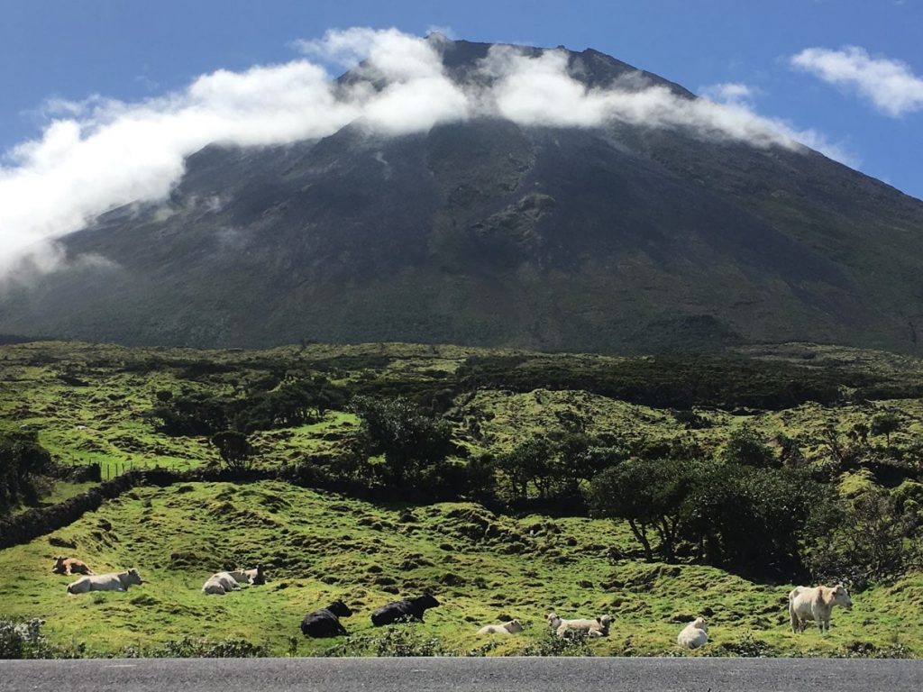 Paisagem do Pico Açores