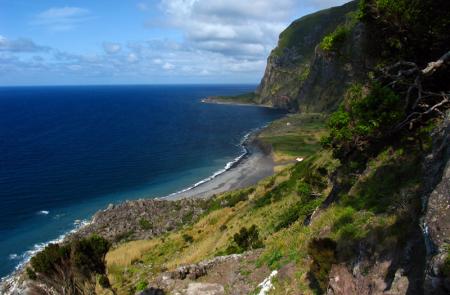 Flores Azores coast nature