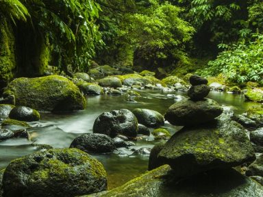 wellness Azores