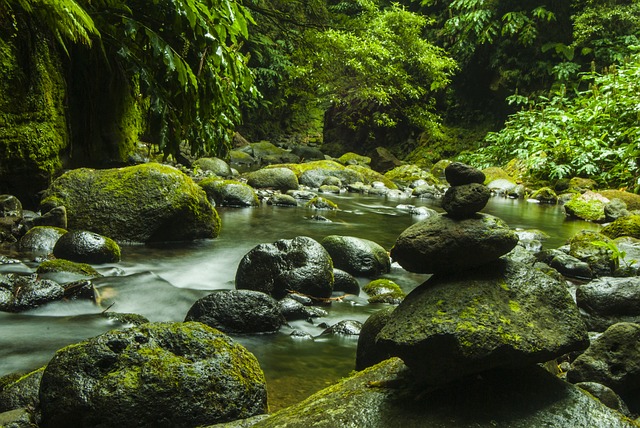 wellness Azores