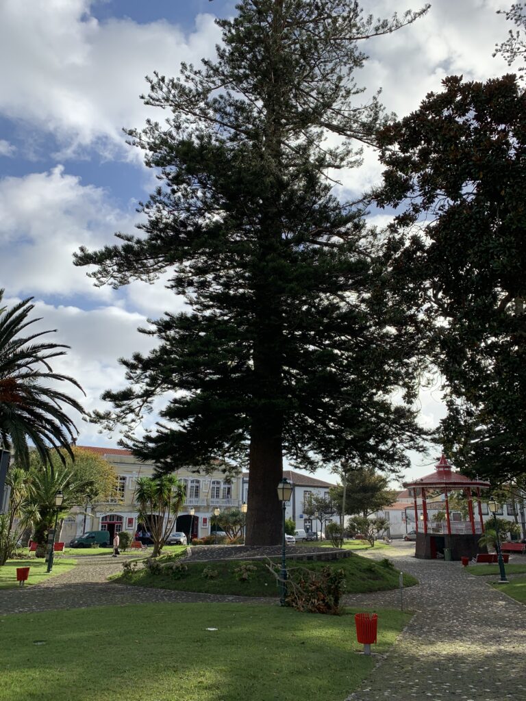 Praça da Republica II Horta Faial Azores