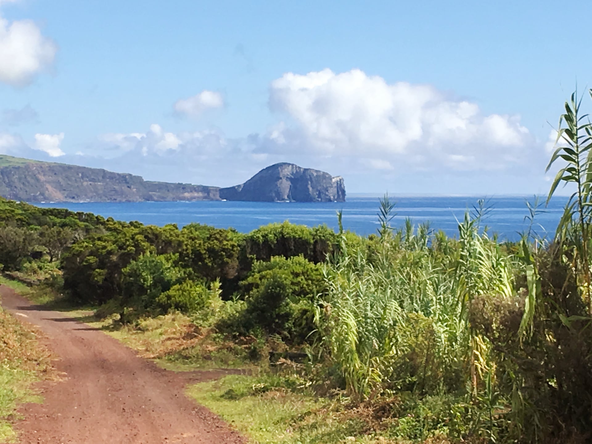 Morro de Castelo Branco VII - Faial