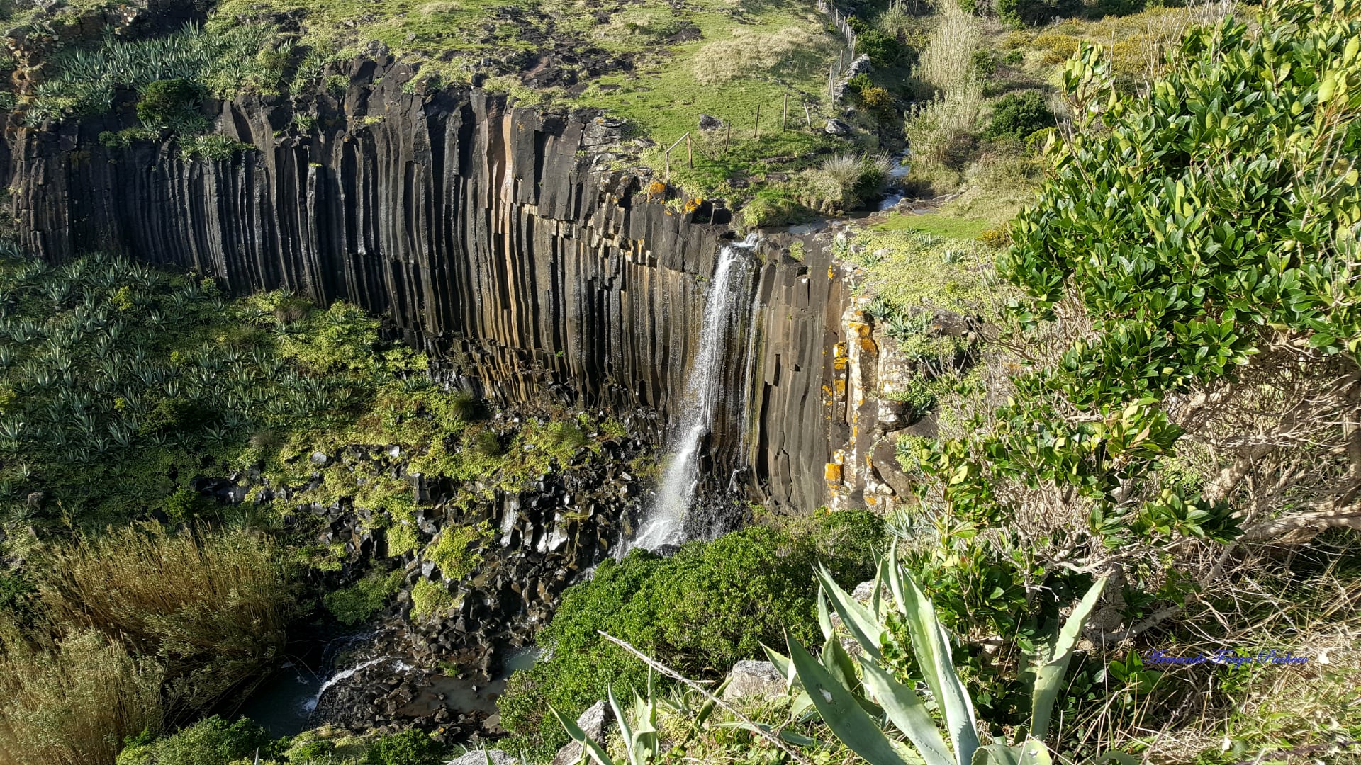 Ribeira de Maloás - Santa Maria - Azores