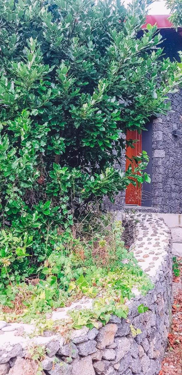 Garden House - Quinta do Abacate