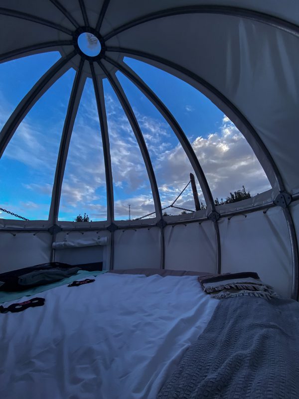 Cocoon - Quinta do Abacate