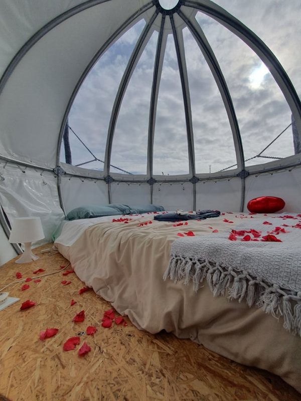 Cocoon - Quinta do Abacate