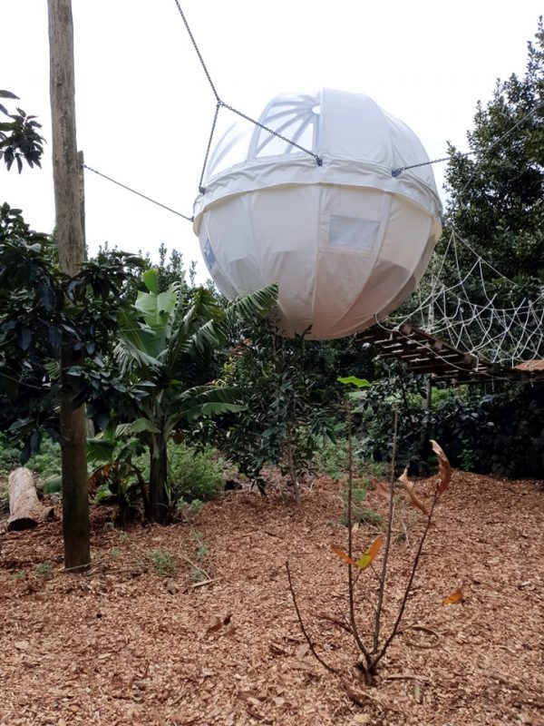 Cocoon - Quinta do Abacate