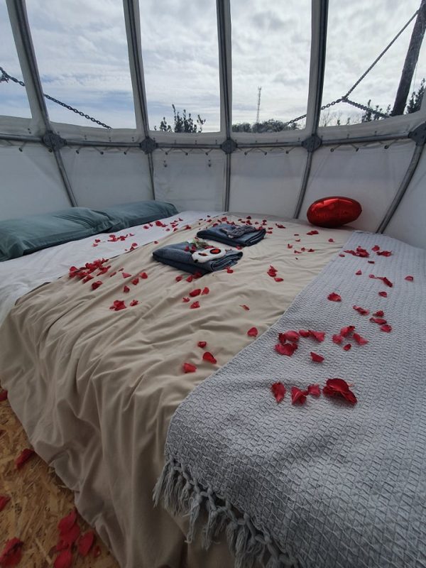 Cocoon - Quinta do Abacate