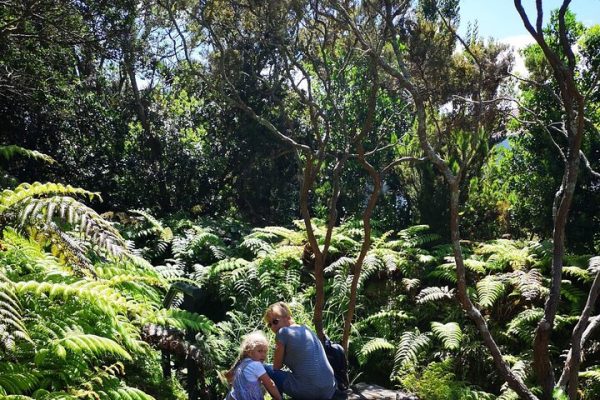 Tour privato di Faial di un'intera giornata con Visitfaial