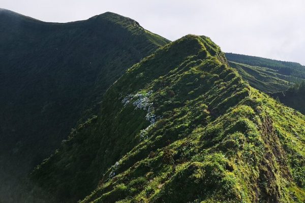Caldeira, Tour privato di un'intera giornata a Faial con Visitfaial