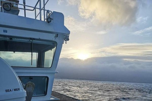 Visitfaial, visitas guiadas no Faial e no Pico