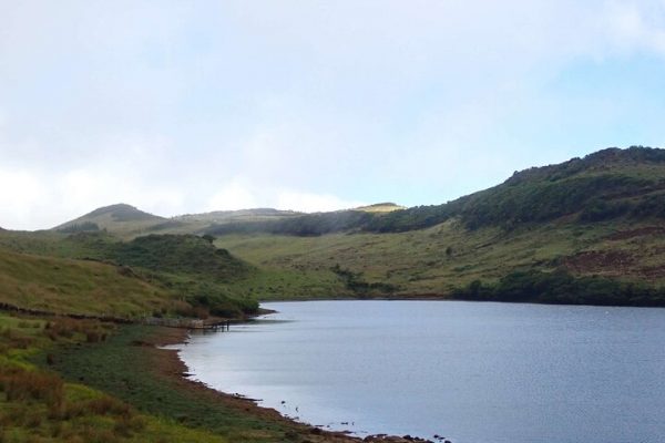 Visitfaial, visitas guiadas no Faial e no Pico