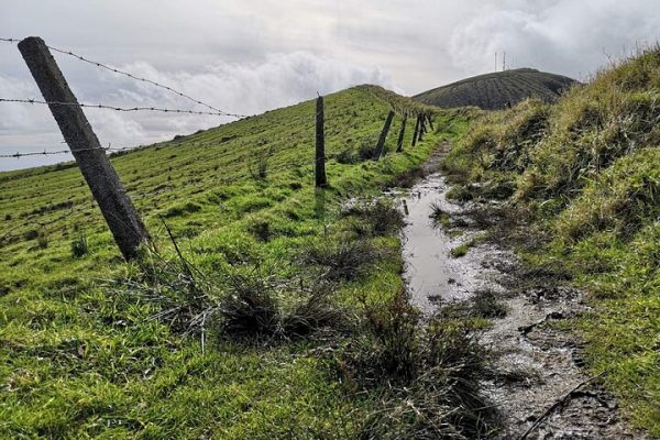 Visitfaial, visite guidate a Faial e Pico