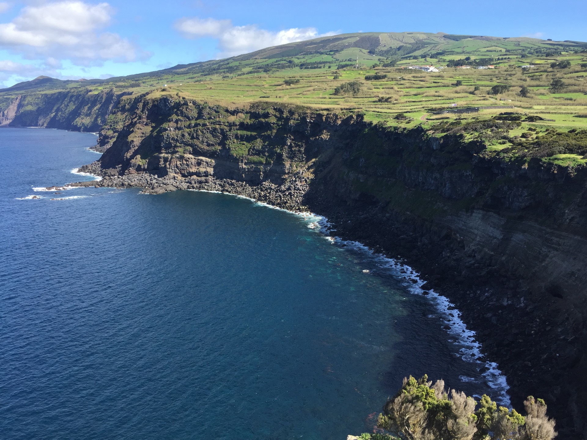 Azores - Wild