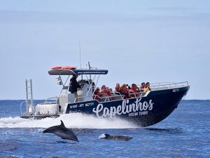 Capelinhos Ocean Tour - Guia dos Açores