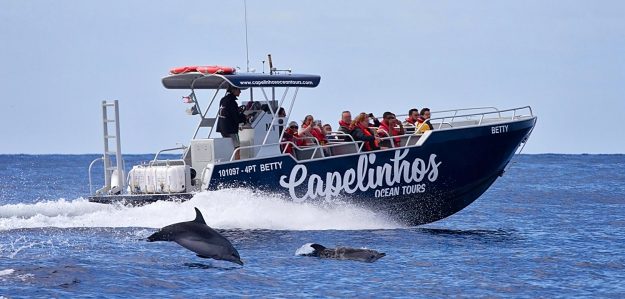 cropped Capelinhos Ocean Tour Guide to the Azores I