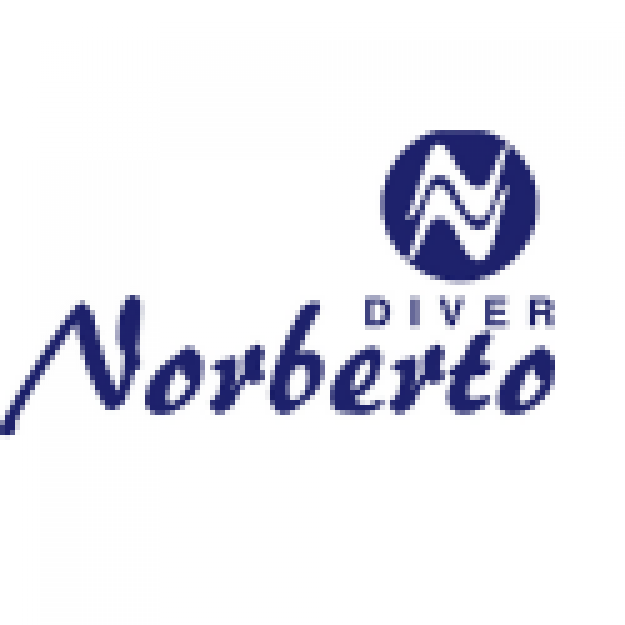 Norberto Diver