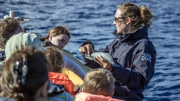 Terra Azul - Guida alle Azzorre - Osservazione delle balene e tour in barca delle isole