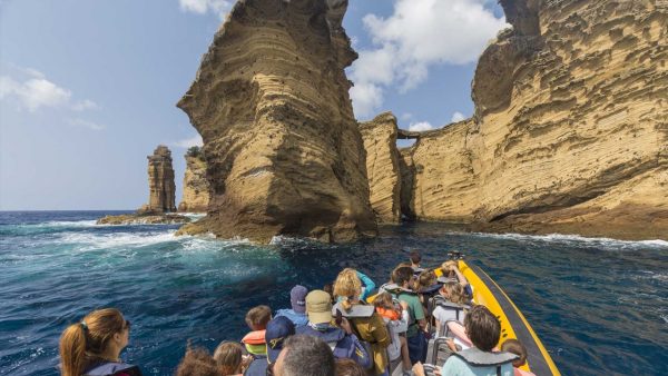 Terra Azul - Guida alle Azzorre - Osservazione delle balene e tour in barca delle isole