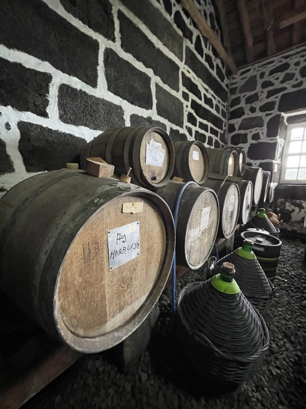 Tripix - Guida delle Azzorre - Tour del vino di una giornata intera