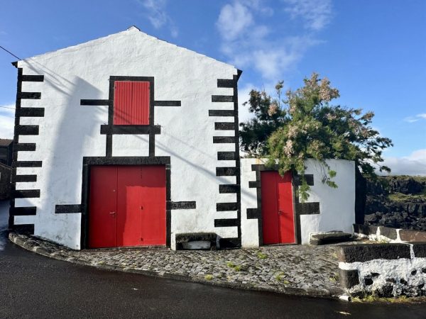 Excursão de dia inteiro ao Pico com prova de vinhos - Hominis Natura - Guia dos Açores
