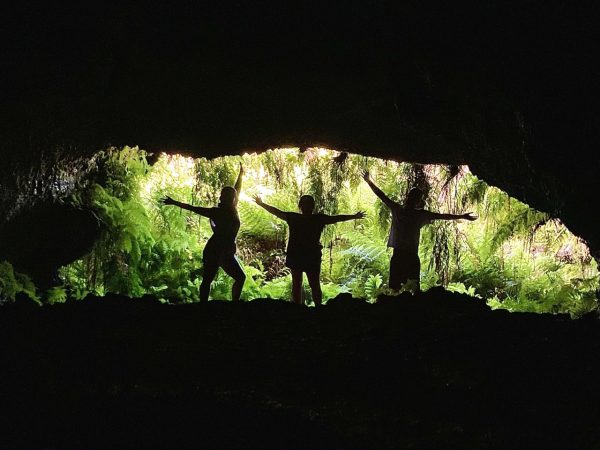 Excursão de dia inteiro ao Pico com prova de vinhos - Hominis Natura - Guia dos Açores