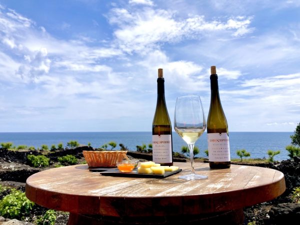 Excursão de dia inteiro ao Pico com prova de vinhos - Hominis Natura - Guia dos Açores
