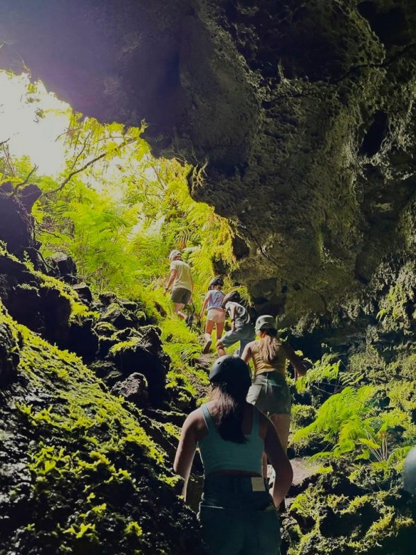 Tour di mezza giornata del vulcano Pico - Hominis Natura - Guida alle Azzorre
