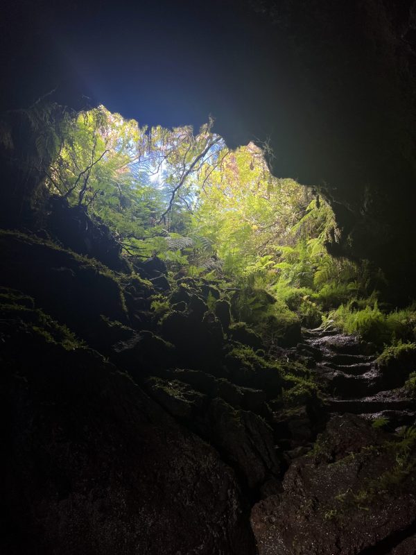 Tour di mezza giornata del vulcano Pico - Hominis Natura - Guida alle Azzorre