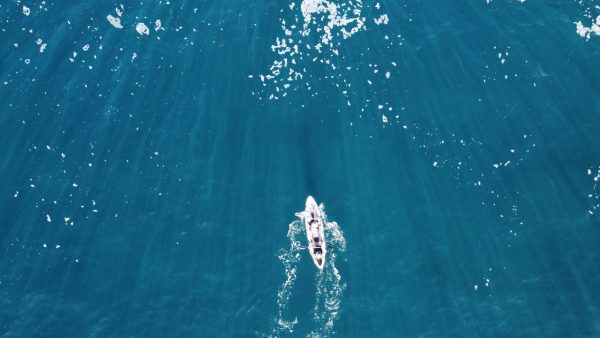 Kayak da mare - Hominis Natura - Guida alle Azzorre