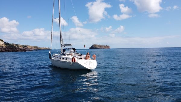 Tour in barca a vela - Mezza giornata in barca a vela privata - Sao Miguel - Guida delle Azzorre II