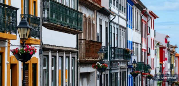 cropped Green Generation Terceira Guide to the Azores
