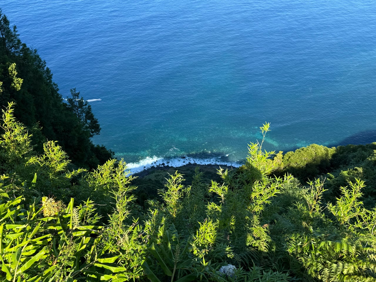 Fajã dos Cubres - Sao Jorge Fajas -Guide to the Azores